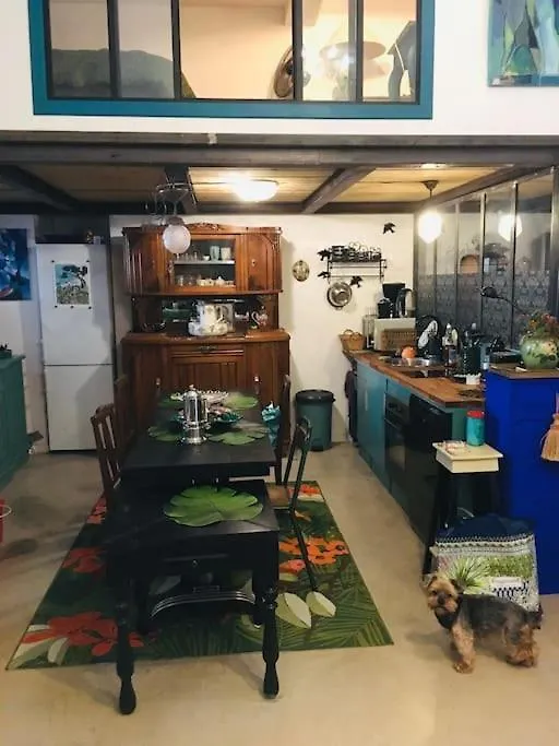 Loft D Artistes Avec Patio Au Port De Nice